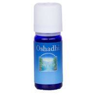 Oshadhi Oregano (Dobromysl) compacta BIO, esenciální olej 5 ml
