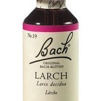 Dr. Bach Esence Larch 20 ml