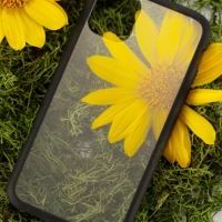 Pela Case Kryt na mobil kompostovatelný iPhone 11 Pro 1 ks